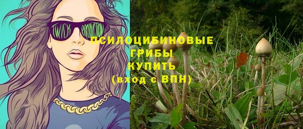 соль ск Алзамай