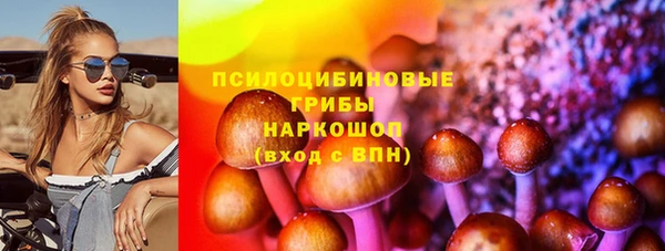 соль ск Алзамай