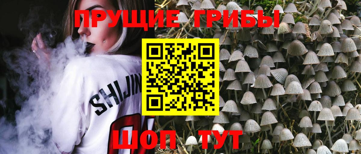 Дзержинск  Галлюциногенные грибы Cubensis  где купить наркоту  Вход с VPN 